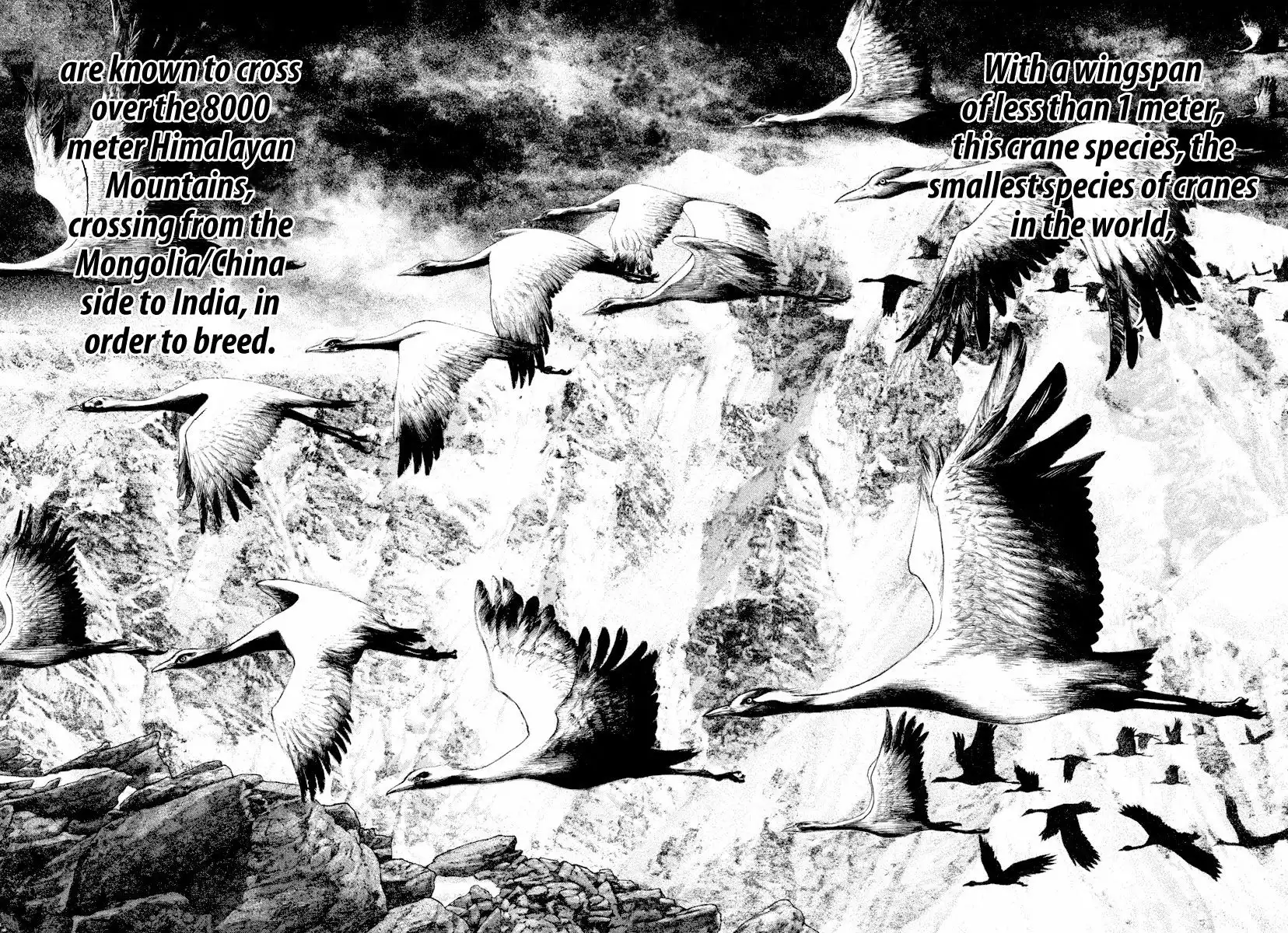 Kokou No Hito Chapter 168 10